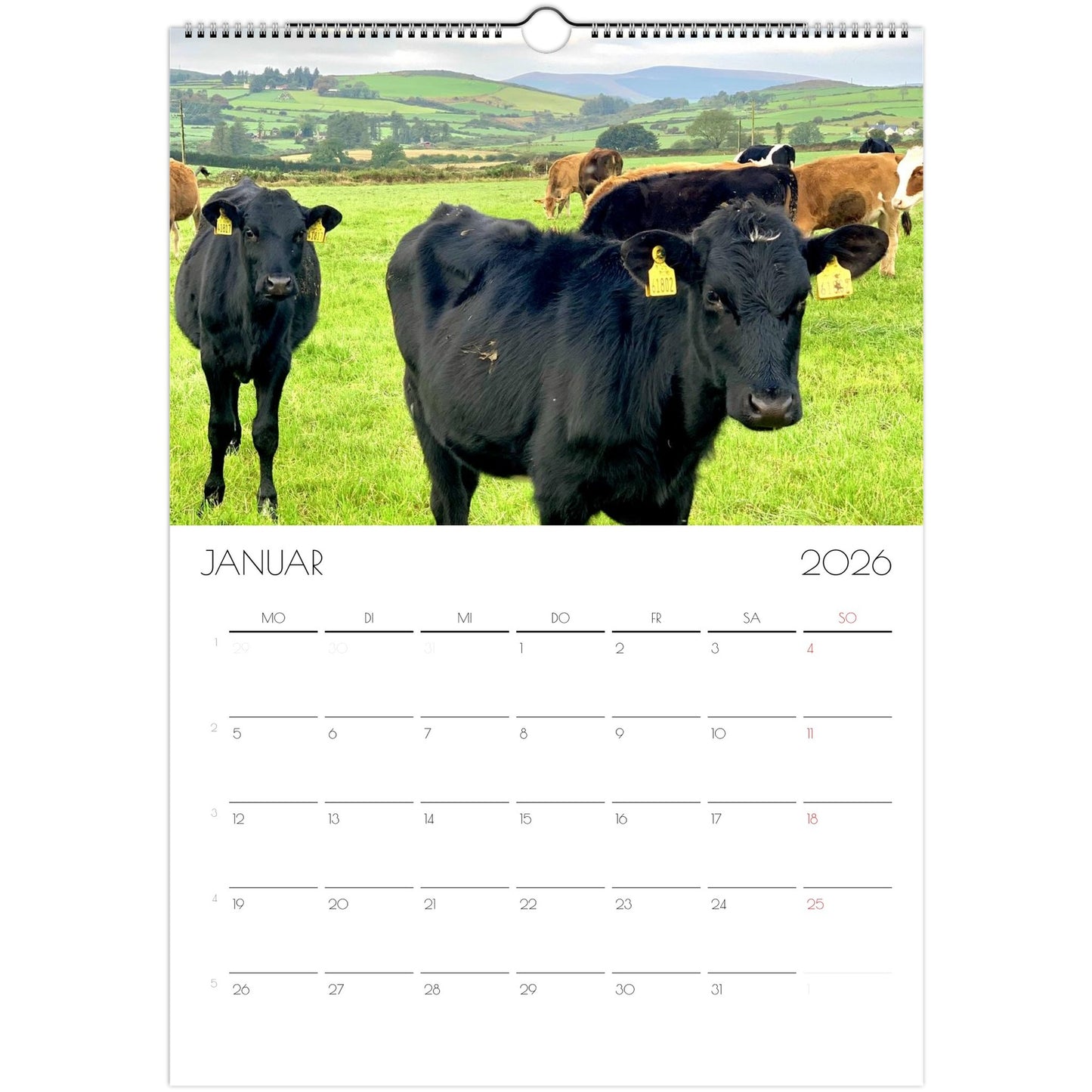 122c1415-229f-4e16-83e5-b7dff660ab4b